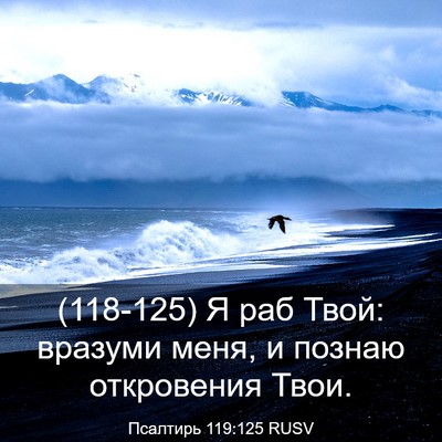 Picture 03 - Псалтирь 119:125 RUSV - (118-125) Я раб Твой: вразуми - Bible Verse Picture