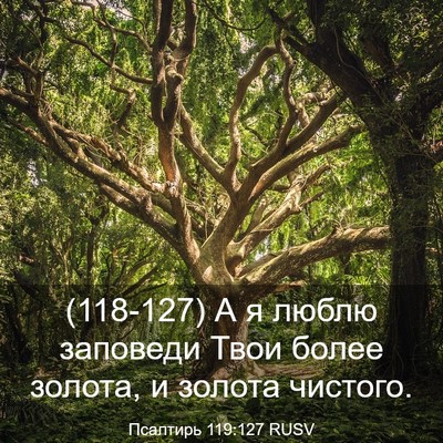 Picture 03 - Псалтирь 119:127 RUSV - (118-127) А я люблю заповеди - Bible Verse Picture