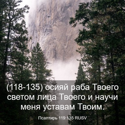 Picture 03 - Псалтирь 119:135 RUSV - (118-135) осияй раба Твоего - Bible Verse Picture