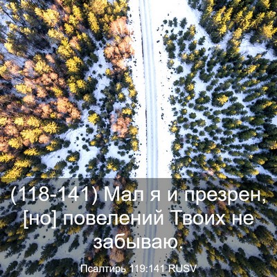 Picture 03 - Псалтирь 119:141 RUSV - (118-141) Мал я и презрен, [но] - Bible Verse Picture