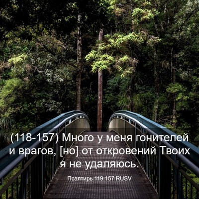Picture 03 - Псалтирь 119:157 RUSV - (118-157) Много у меня - Bible Verse Picture