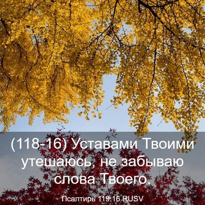 Picture 03 - Псалтирь 119:16 RUSV - (118-16) Уставами Твоими - Bible Verse Picture