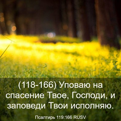 Picture 03 - Псалтирь 119:166 RUSV - (118-166) Уповаю на спасение - Bible Verse Picture