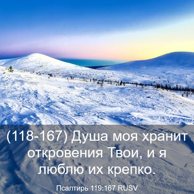 Picture 03 - Псалтирь 119:167 RUSV - (118-167) Душа моя хранит - Bible Verse Picture