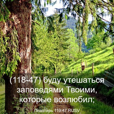 Picture 03 - Псалтирь 119:47 RUSV - (118-47) буду утешаться - Bible Verse Picture
