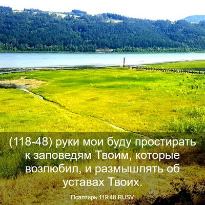 Picture 03 - Псалтирь 119:48 RUSV - (118-48) руки мои буду - Bible Verse Picture