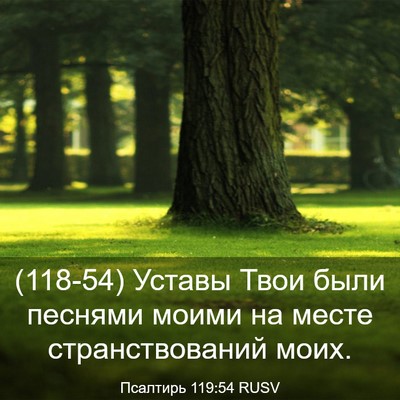 Picture 03 - Псалтирь 119:54 RUSV - (118-54) Уставы Твои были - Bible Verse Picture
