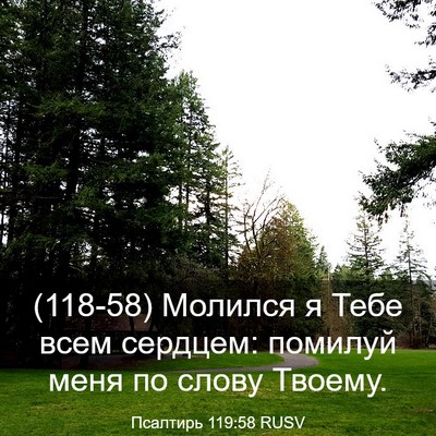 Picture 03 - Псалтирь 119:58 RUSV - (118-58) Молился я Тебе всем - Bible Verse Picture
