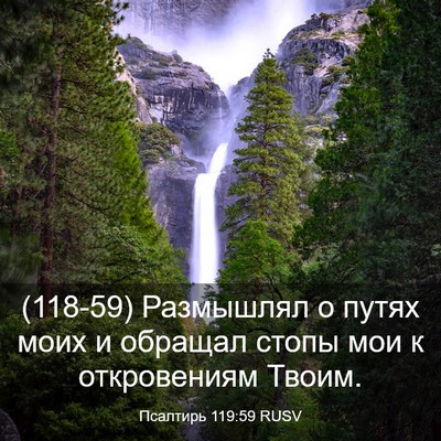 Picture 03 - Псалтирь 119:59 RUSV - (118-59) Размышлял о путях - Bible Verse Picture