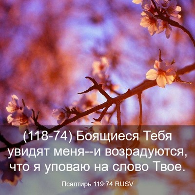 Picture 03 - Псалтирь 119:74 RUSV - (118-74) Боящиеся Тебя увидят - Bible Verse Picture