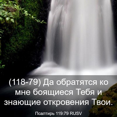 Picture 03 - Псалтирь 119:79 RUSV - (118-79) Да обратятся ко мне - Bible Verse Picture