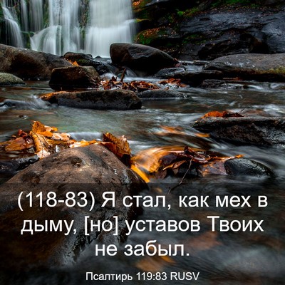 Picture 03 - Псалтирь 119:83 RUSV - (118-83) Я стал, как мех в дыму, - Bible Verse Picture