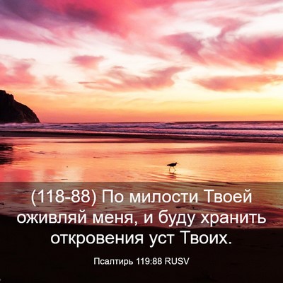 Picture 03 - Псалтирь 119:88 RUSV - (118-88) По милости Твоей - Bible Verse Picture