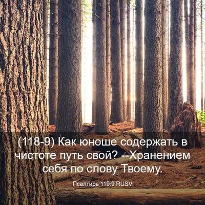 Picture 03 - Псалтирь 119:9 RUSV - (118-9) Как юноше содержать в - Bible Verse Picture