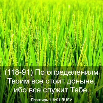 Picture 03 - Псалтирь 119:91 RUSV - (118-91) По определениям Твоим - Bible Verse Picture