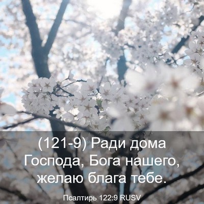 Picture 03 - Псалтирь 122:9 RUSV - (121-9) Ради дома Господа, - Bible Verse Picture