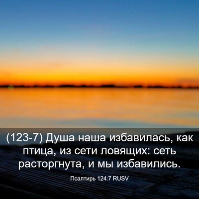 Picture 03 - Псалтирь 124:7 RUSV - (123-7) Душа наша избавилась, - Bible Verse Picture