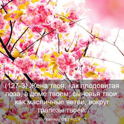 Picture 03 - Псалтирь 128:3 RUSV - (127-3) Жена твоя, как - Bible Verse Picture