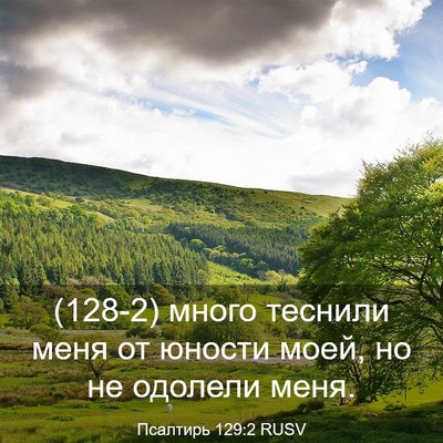 Picture 03 - Псалтирь 129:2 RUSV - (128-2) много теснили меня от - Bible Verse Picture