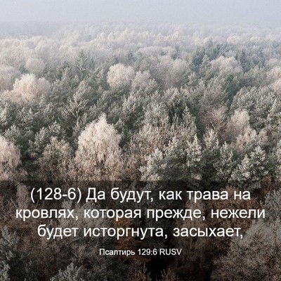 Picture 03 - Псалтирь 129:6 RUSV - (128-6) Да будут, как трава на - Bible Verse Picture