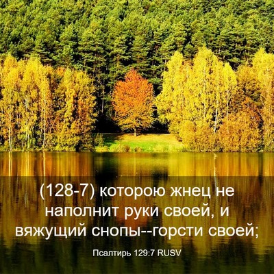Picture 03 - Псалтирь 129:7 RUSV - (128-7) которою жнец не - Bible Verse Picture