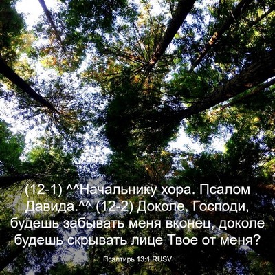 Picture 03 - Псалтирь 13:1 RUSV - (12-1) ^^Начальнику хора. - Bible Verse Picture