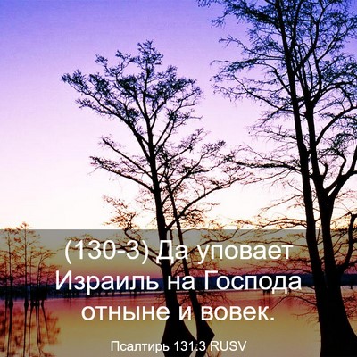 Picture 03 - Псалтирь 131:3 RUSV - (130-3) Да уповает Израиль на - Bible Verse Picture