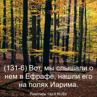 Picture 03 - Псалтирь 132:6 RUSV - (131-6) Вот, мы слышали о нем в - Bible Verse Picture