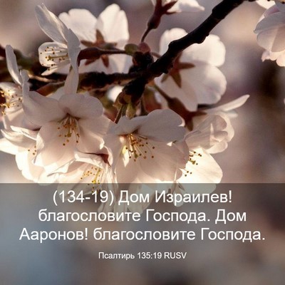 Picture 03 - Псалтирь 135:19 RUSV - (134-19) Дом Израилев! - Bible Verse Picture