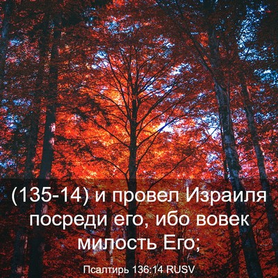 Picture 03 - Псалтирь 136:14 RUSV - (135-14) и провел Израиля - Bible Verse Picture