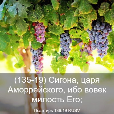 Picture 03 - Псалтирь 136:19 RUSV - (135-19) Сигона, царя - Bible Verse Picture
