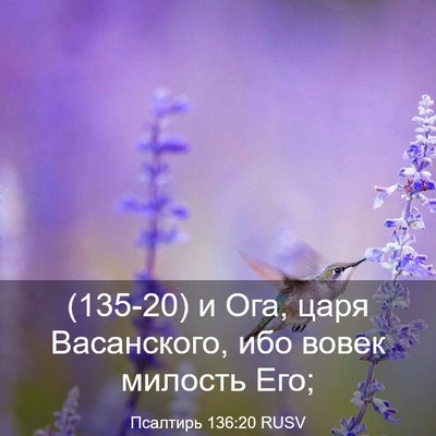 Picture 03 - Псалтирь 136:20 RUSV - (135-20) и Ога, царя - Bible Verse Picture