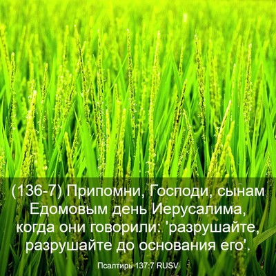 Picture 03 - Псалтирь 137:7 RUSV - (136-7) Припомни, Господи, - Bible Verse Picture