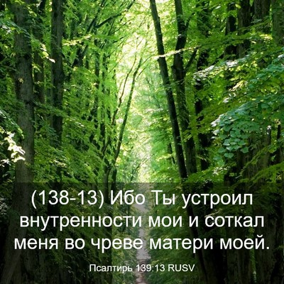 Picture 03 - Псалтирь 139:13 RUSV - (138-13) Ибо Ты устроил - Bible Verse Picture