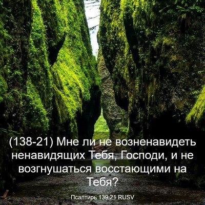 Picture 03 - Псалтирь 139:21 RUSV - (138-21) Мне ли не - Bible Verse Picture