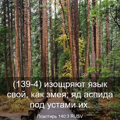 Picture 03 - Псалтирь 140:3 RUSV - (139-4) изощряют язык свой, - Bible Verse Picture
