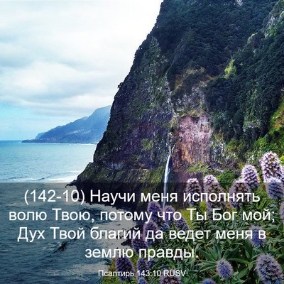 Picture 03 - Псалтирь 143:10 RUSV - (142-10) Научи меня исполнять - Bible Verse Picture