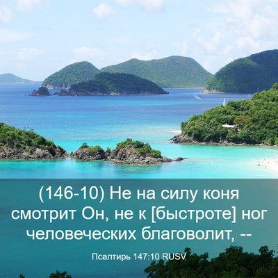 Picture 03 - Псалтирь 147:10 RUSV - (146-10) Не на силу коня - Bible Verse Picture