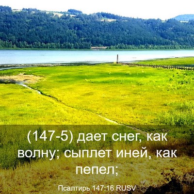 Picture 03 - Псалтирь 147:16 RUSV - (147-5) дает снег, как волну; - Bible Verse Picture