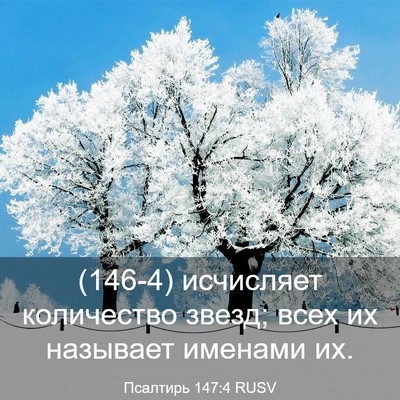 Picture 03 - Псалтирь 147:4 RUSV - (146-4) исчисляет количество - Bible Verse Picture