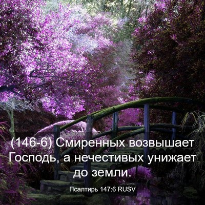 Picture 03 - Псалтирь 147:6 RUSV - (146-6) Смиренных возвышает - Bible Verse Picture