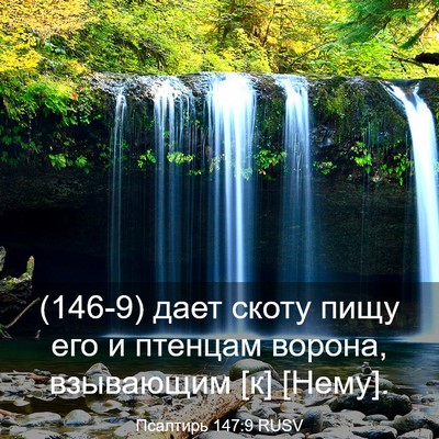 Picture 03 - Псалтирь 147:9 RUSV - (146-9) дает скоту пищу его и - Bible Verse Picture