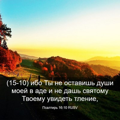 Picture 03 - Псалтирь 16:10 RUSV - (15-10) ибо Ты не оставишь - Bible Verse Picture
