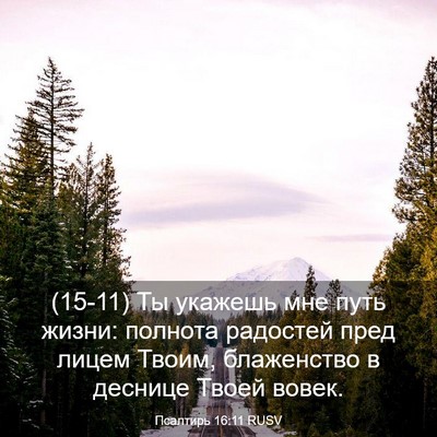 Picture 03 - Псалтирь 16:11 RUSV - (15-11) Ты укажешь мне путь - Bible Verse Picture
