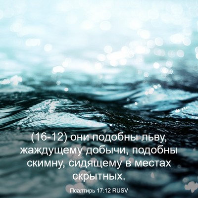 Picture 03 - Псалтирь 17:12 RUSV - (16-12) они подобны льву, - Bible Verse Picture