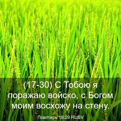Picture 03 - Псалтирь 18:29 RUSV - (17-30) С Тобою я поражаю - Bible Verse Picture