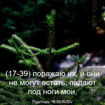 Picture 03 - Псалтирь 18:38 RUSV - (17-39) поражаю их, и они не - Bible Verse Picture