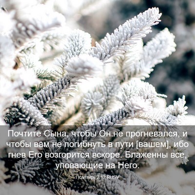 Picture 03 - Псалтирь 2:12 RUSV - Почтите Сына, чтобы Он не - Bible Verse Picture