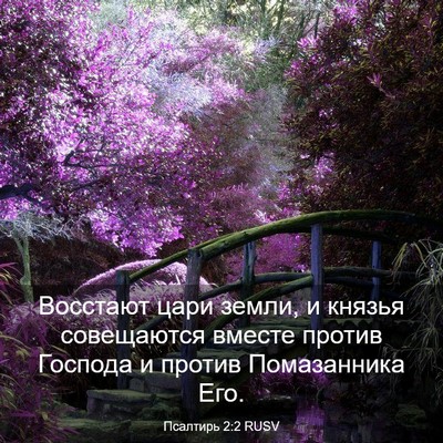 Picture 03 - Псалтирь 2:2 RUSV - Восстают цари земли, и - Bible Verse Picture