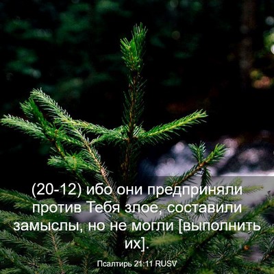 Picture 03 - Псалтирь 21:11 RUSV - (20-12) ибо они предприняли - Bible Verse Picture